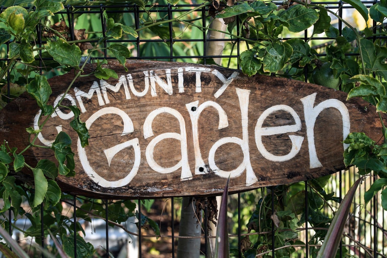 Community Garden Board