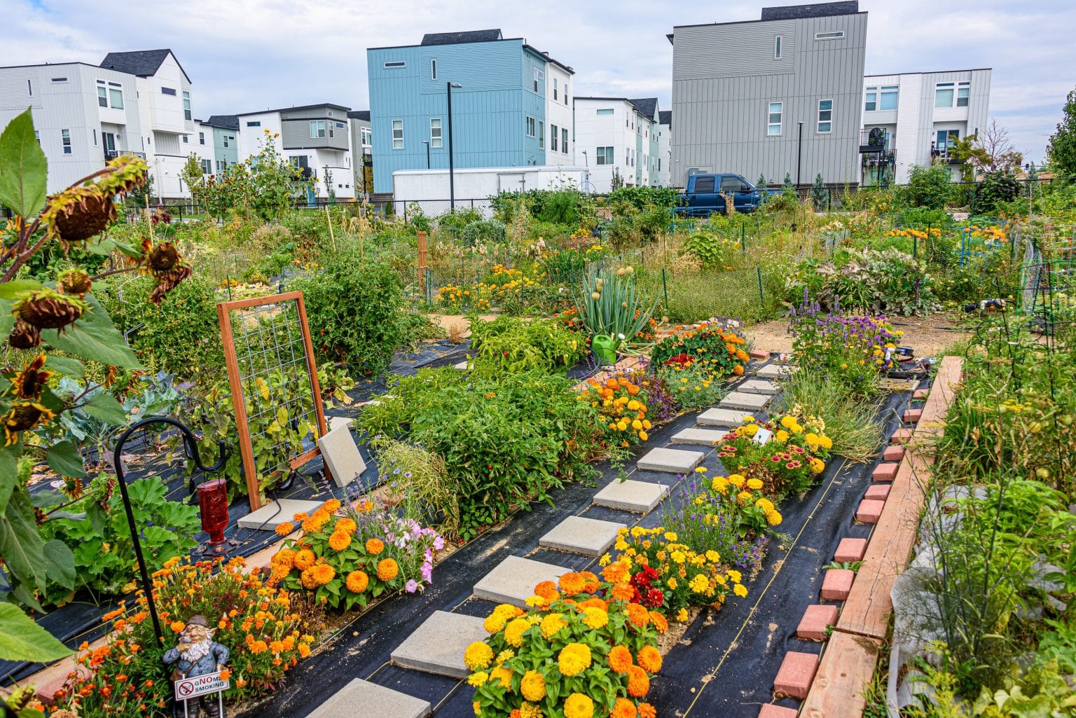 How to Start a Community Garden - Image