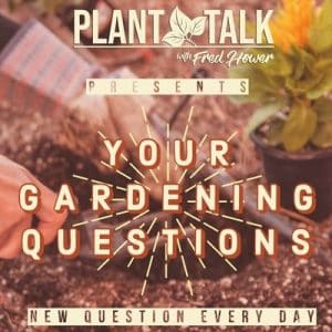 Plant Talk Radio Podcast