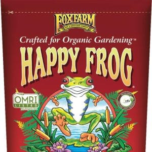 1 - Happy Frog