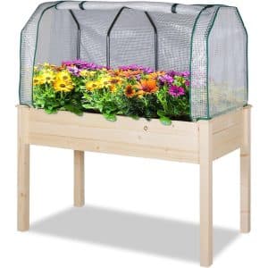 1 - LYNSLIM Wooden Garden Bed with Greenhouse