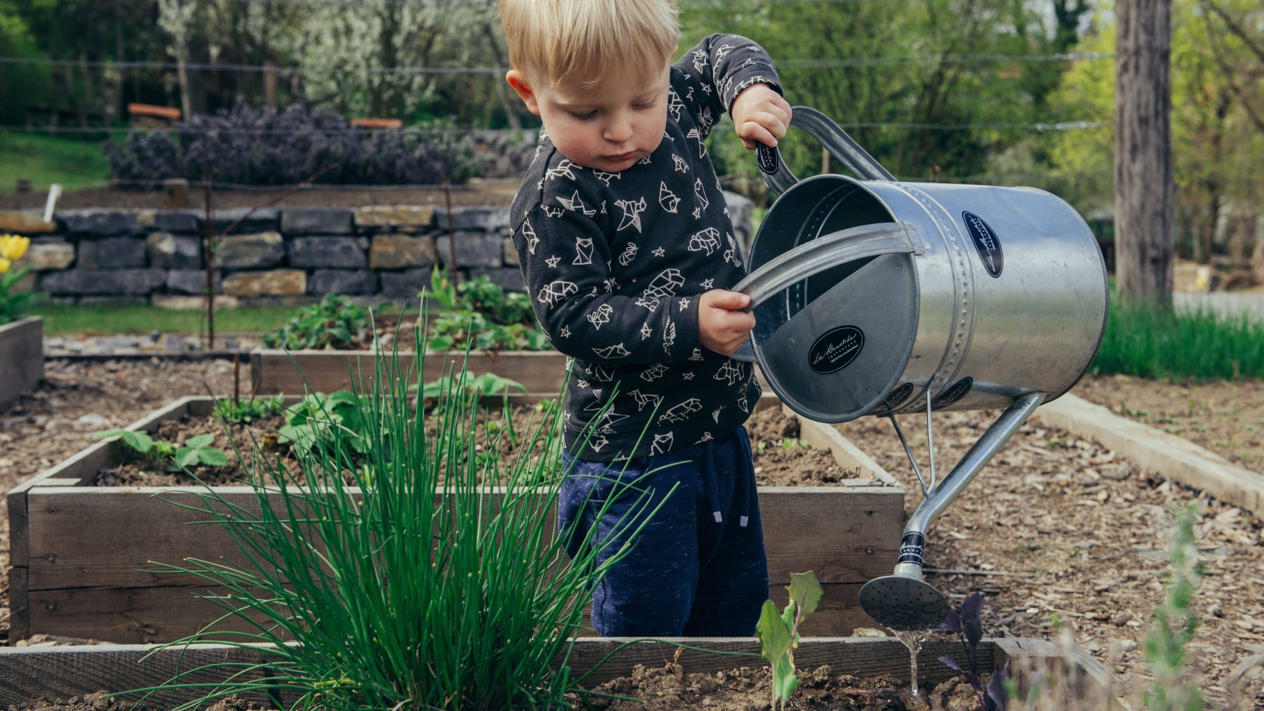 Best Wood for Raised Garden Beds 3