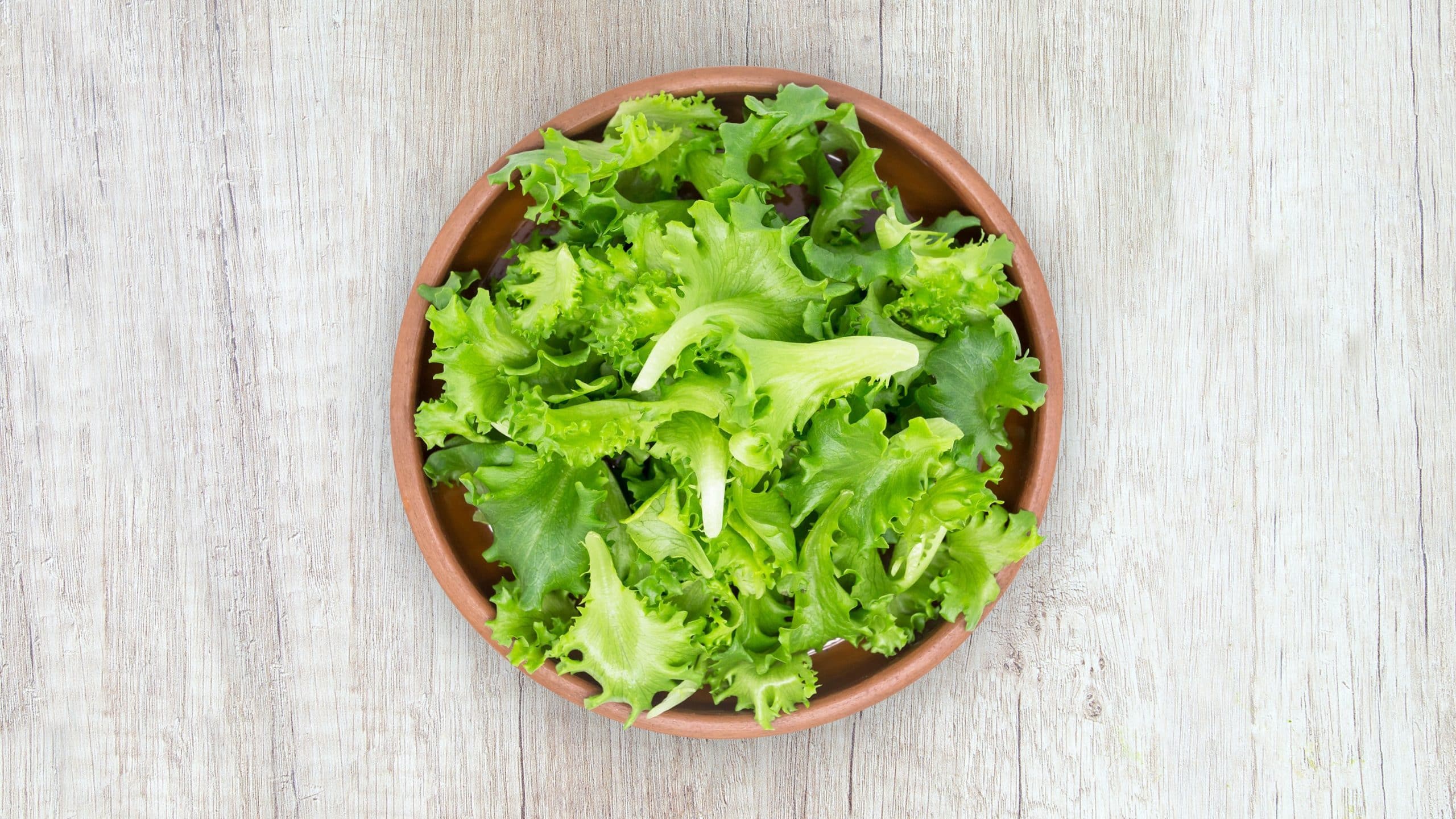 How to Cut Lettuce from Garden 1