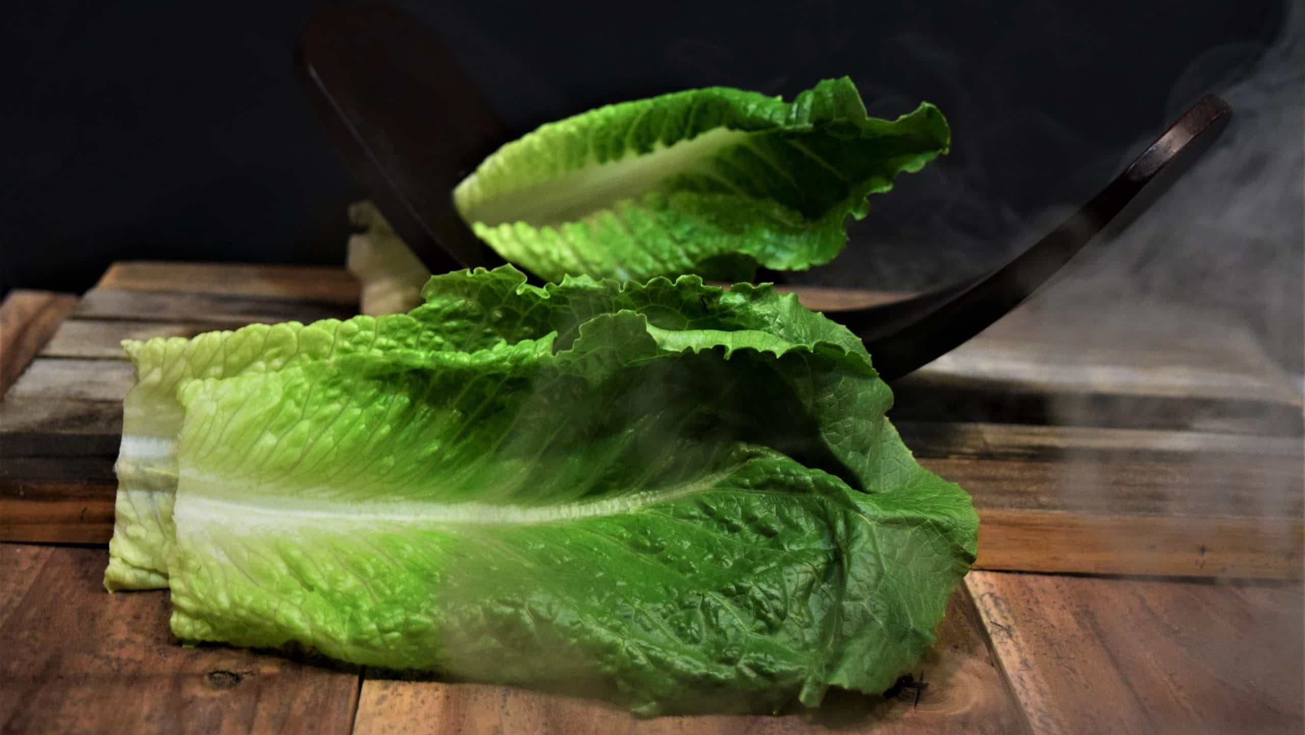 How to Cut Lettuce from Garden 2