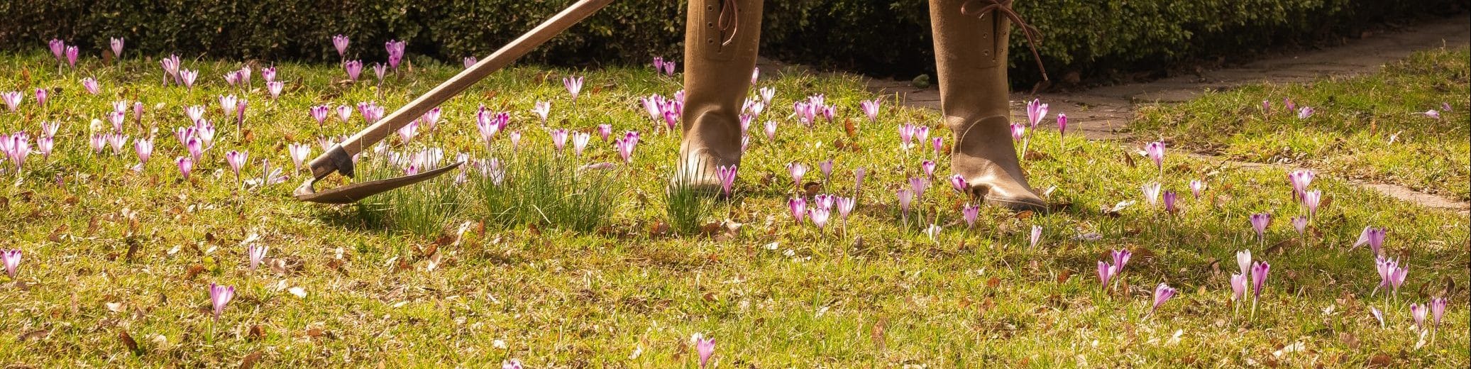 How to cut grass without a lawn mower