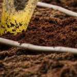 How to prepare garden soil for next year