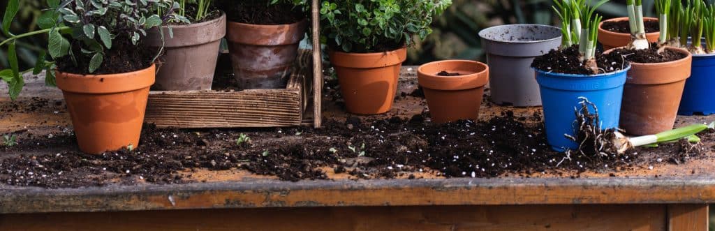 Garden Soil Vs Potting Soil: A Comprehensive Comparison - The Gardener 