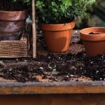 Garden soil vs potting soil