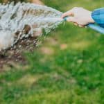 How Often Should You Water a Garden - Featured Image