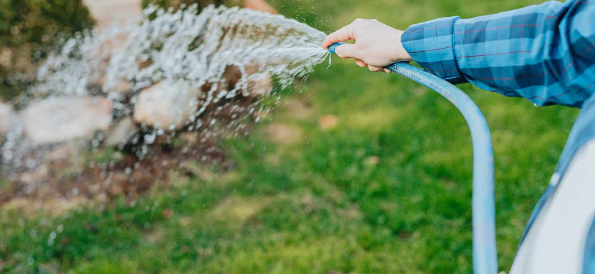 How Often Should You Water a Garden - Featured Image