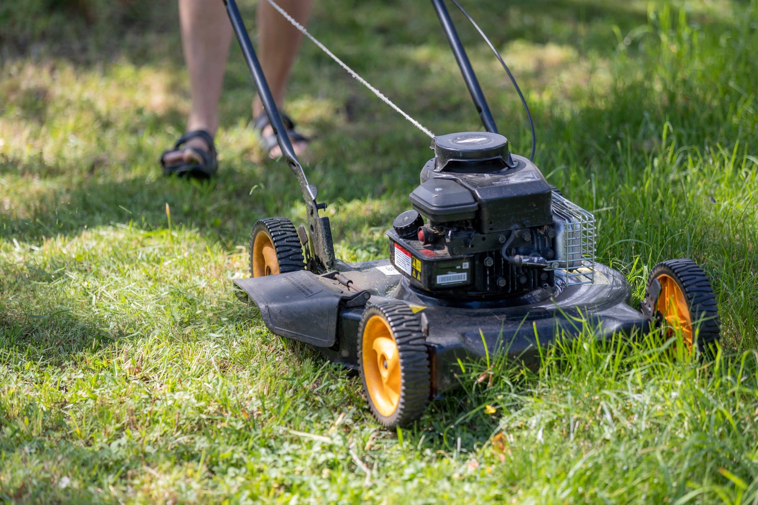 Aerator vs Dethatcher