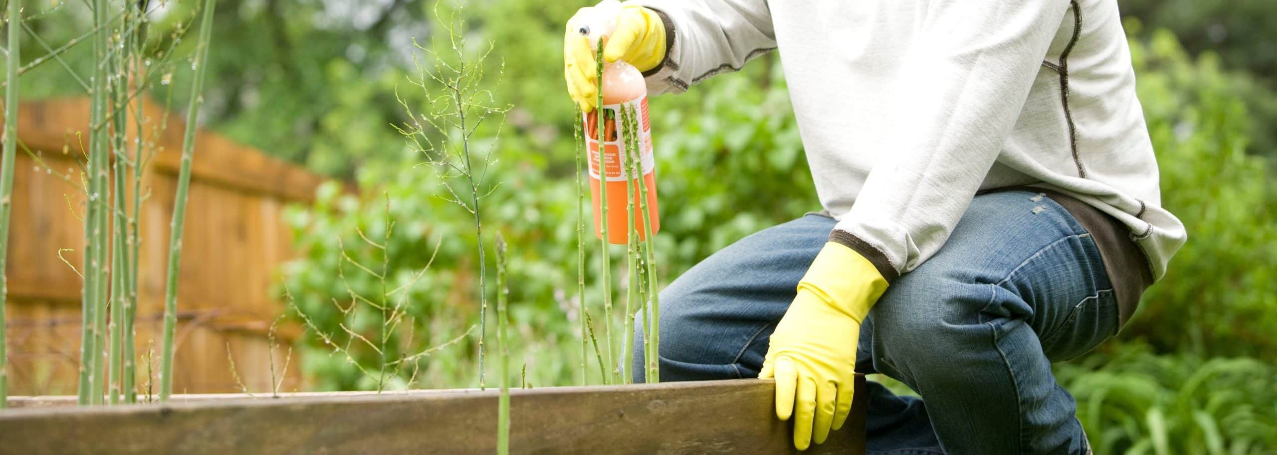 Plant Food vs Fertilizer