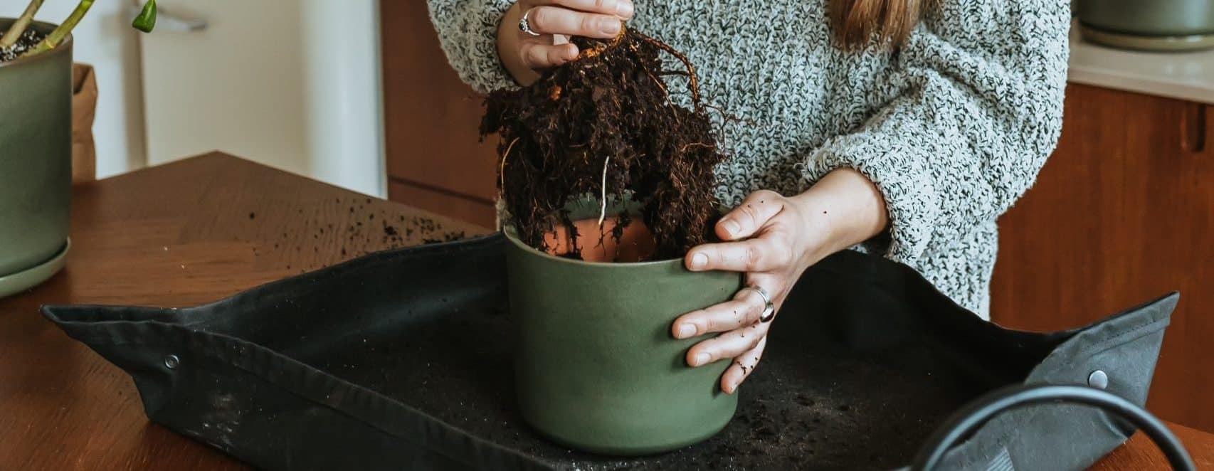 Can You Garden While Pregnant