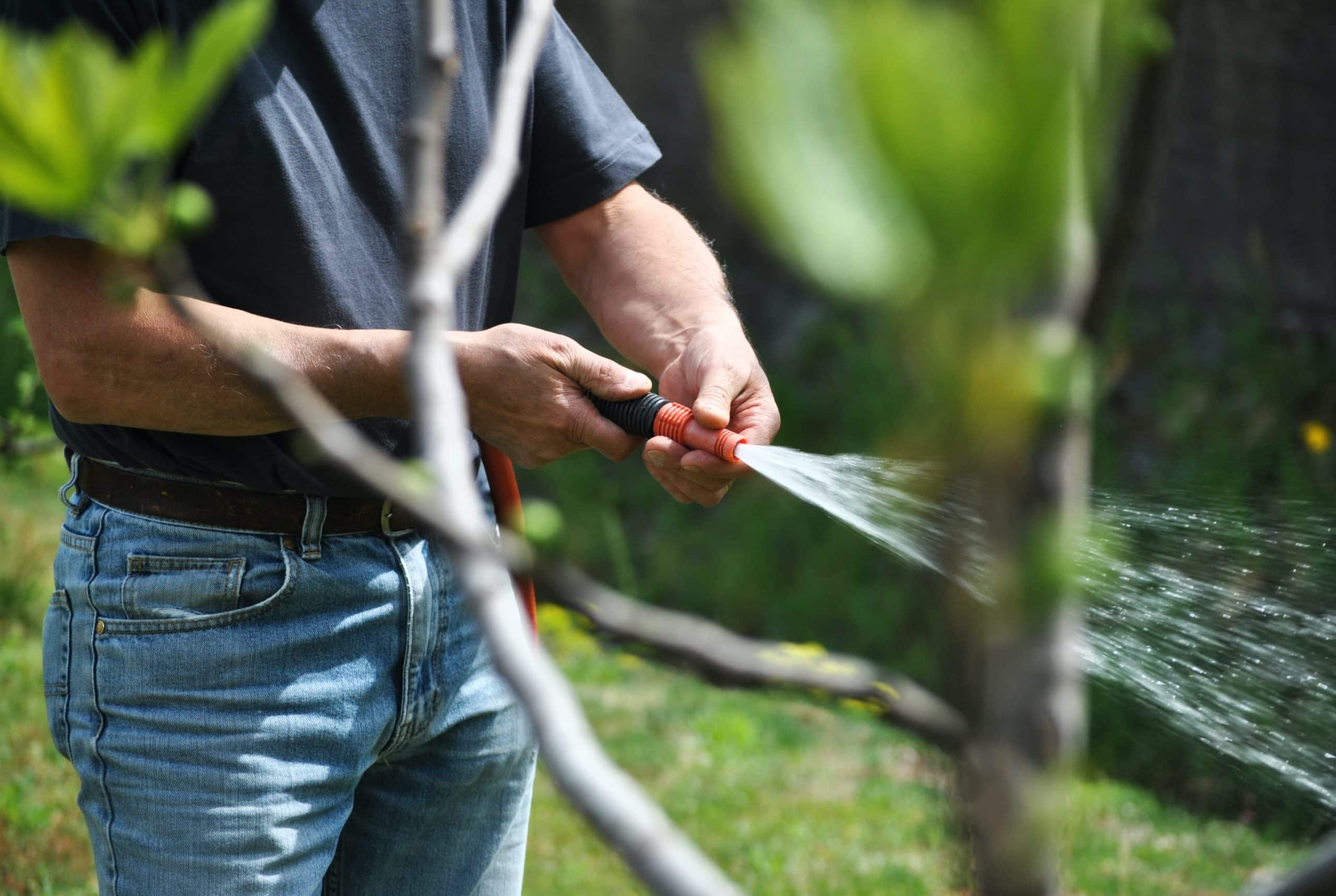 How Often Should You Water a Garden