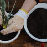 What to wear when gardening