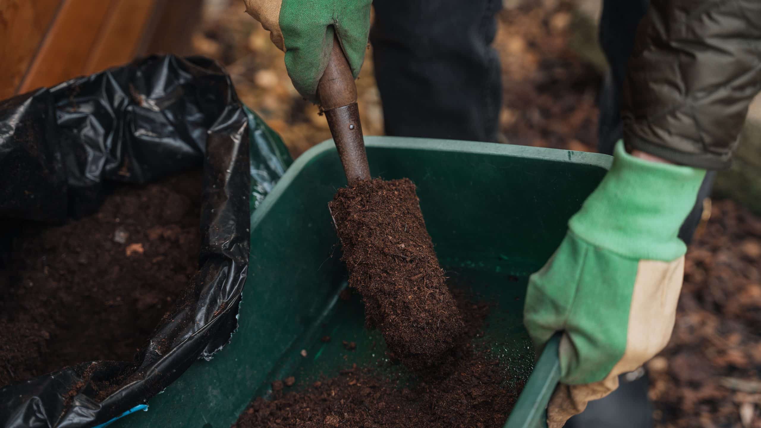 garden soil vs potting soil 2