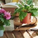 Best Gardening Books for Beginners