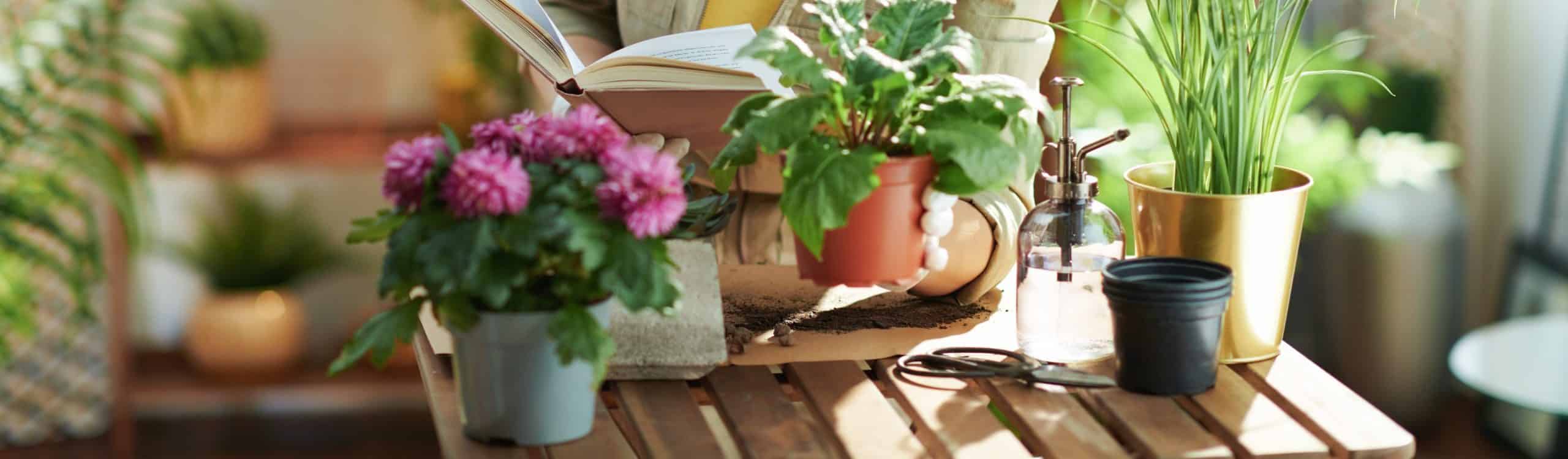 Best Gardening Books for Beginners