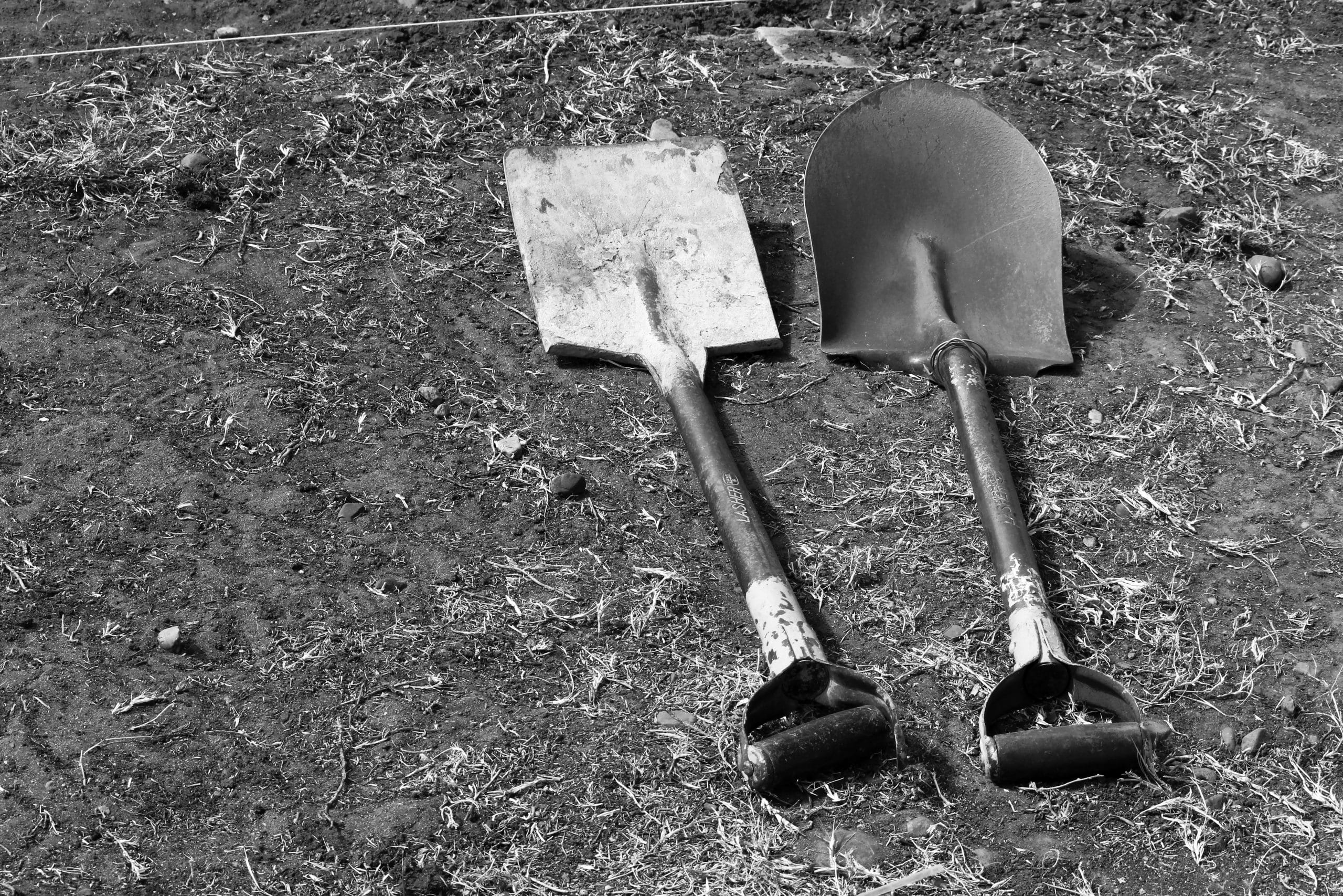 Spade vs Shovel