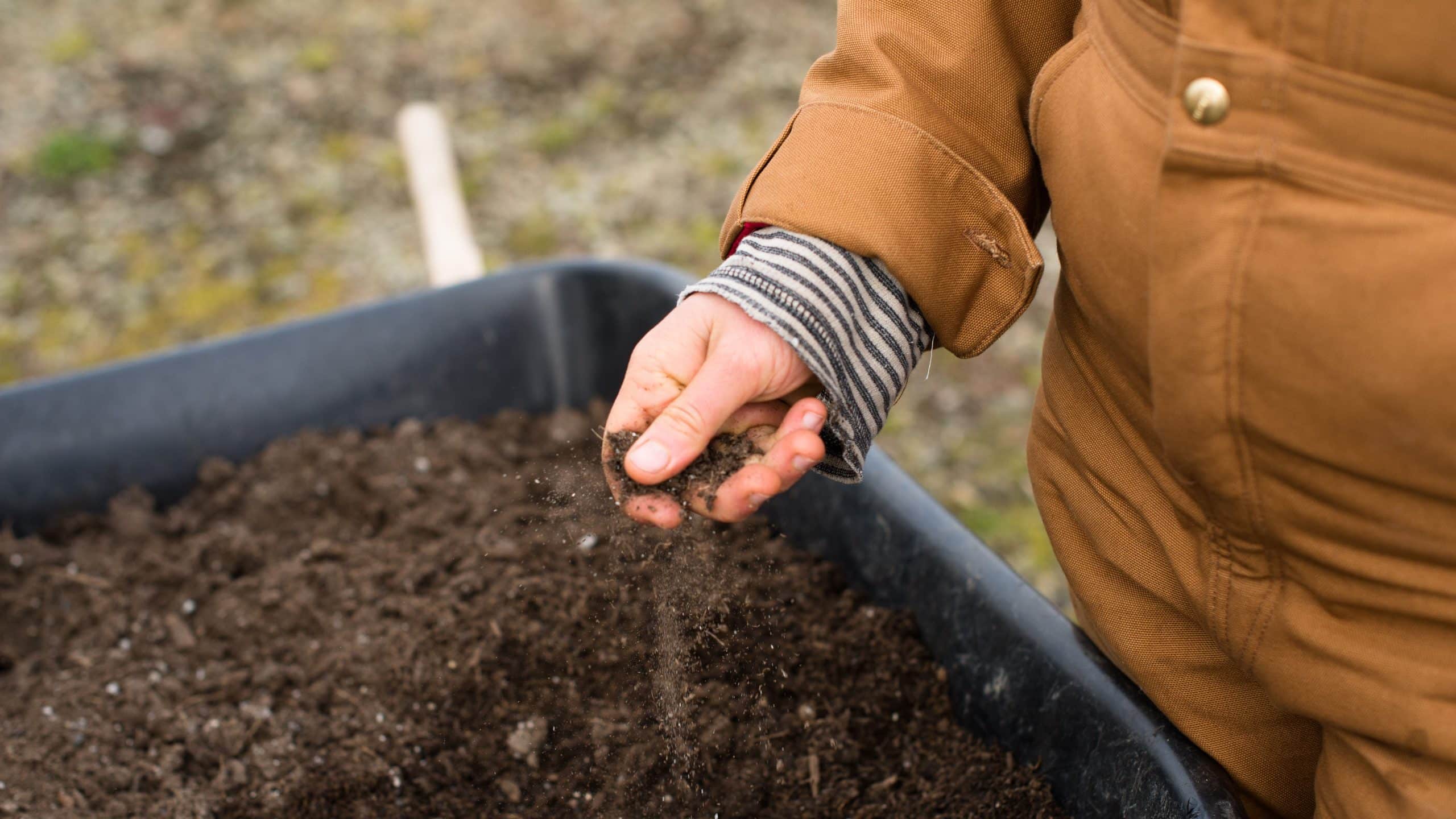 how to prepare garden soil for next year 1