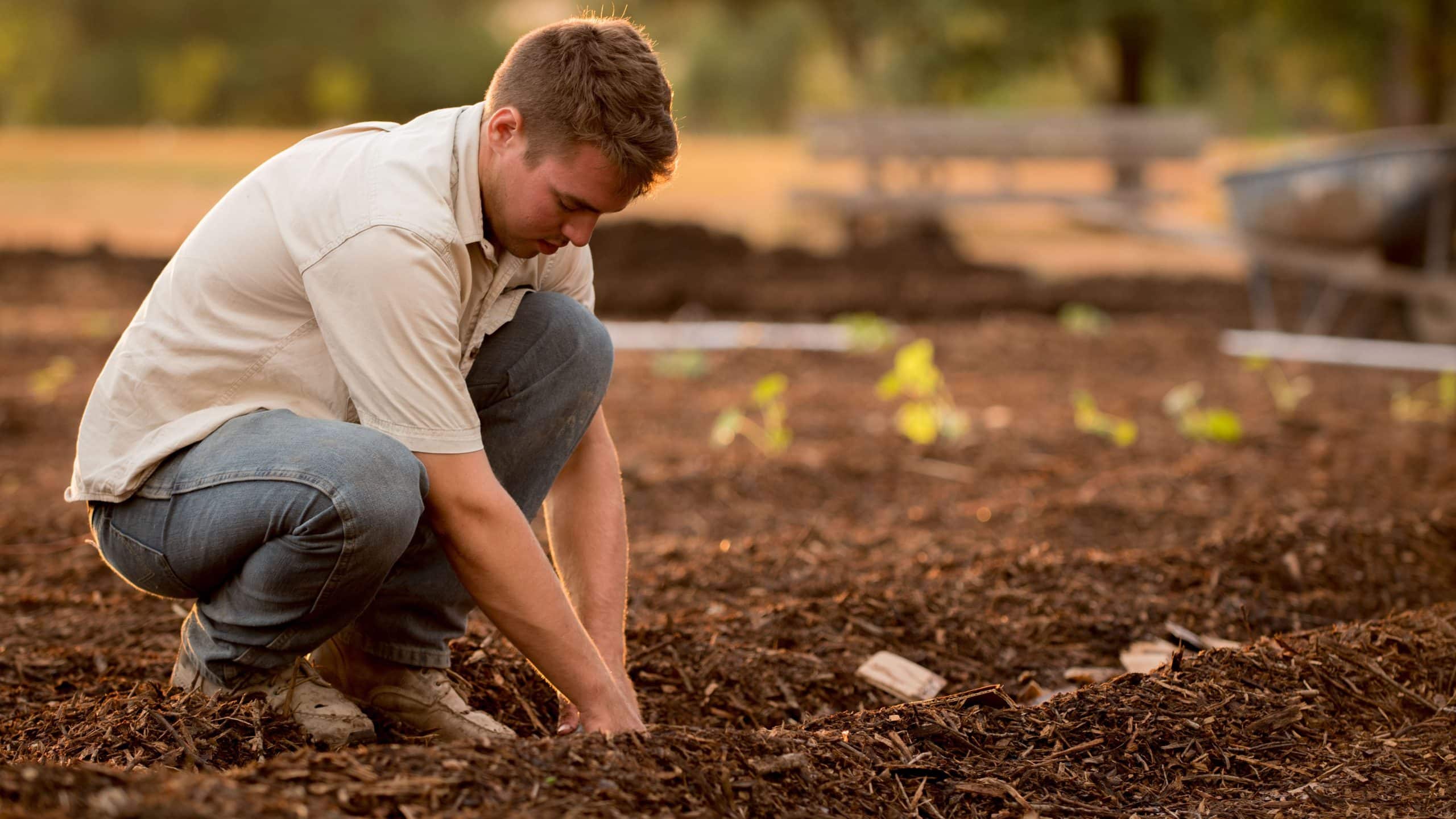 how to prepare garden soil for next year 3