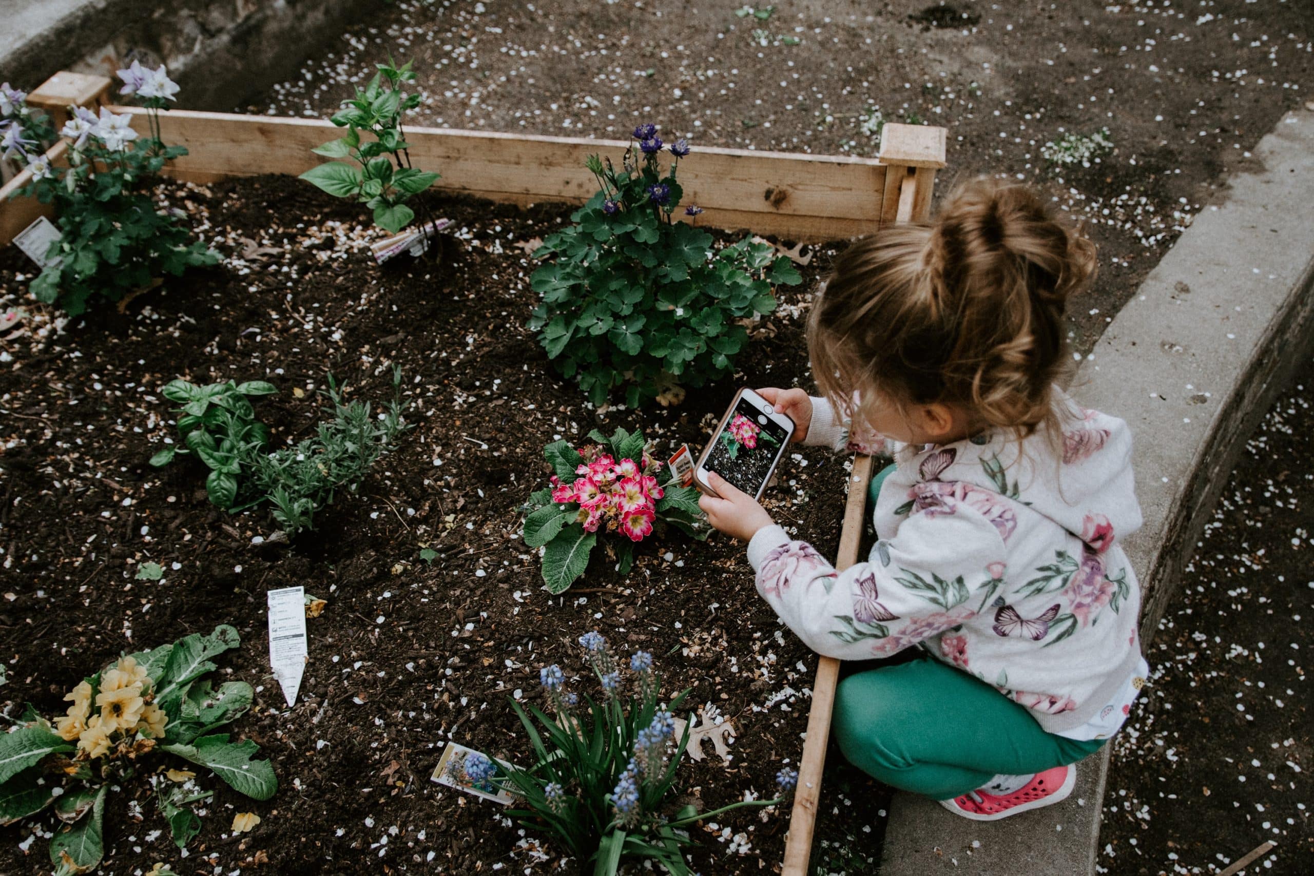 How to build a tiered garden on a slope