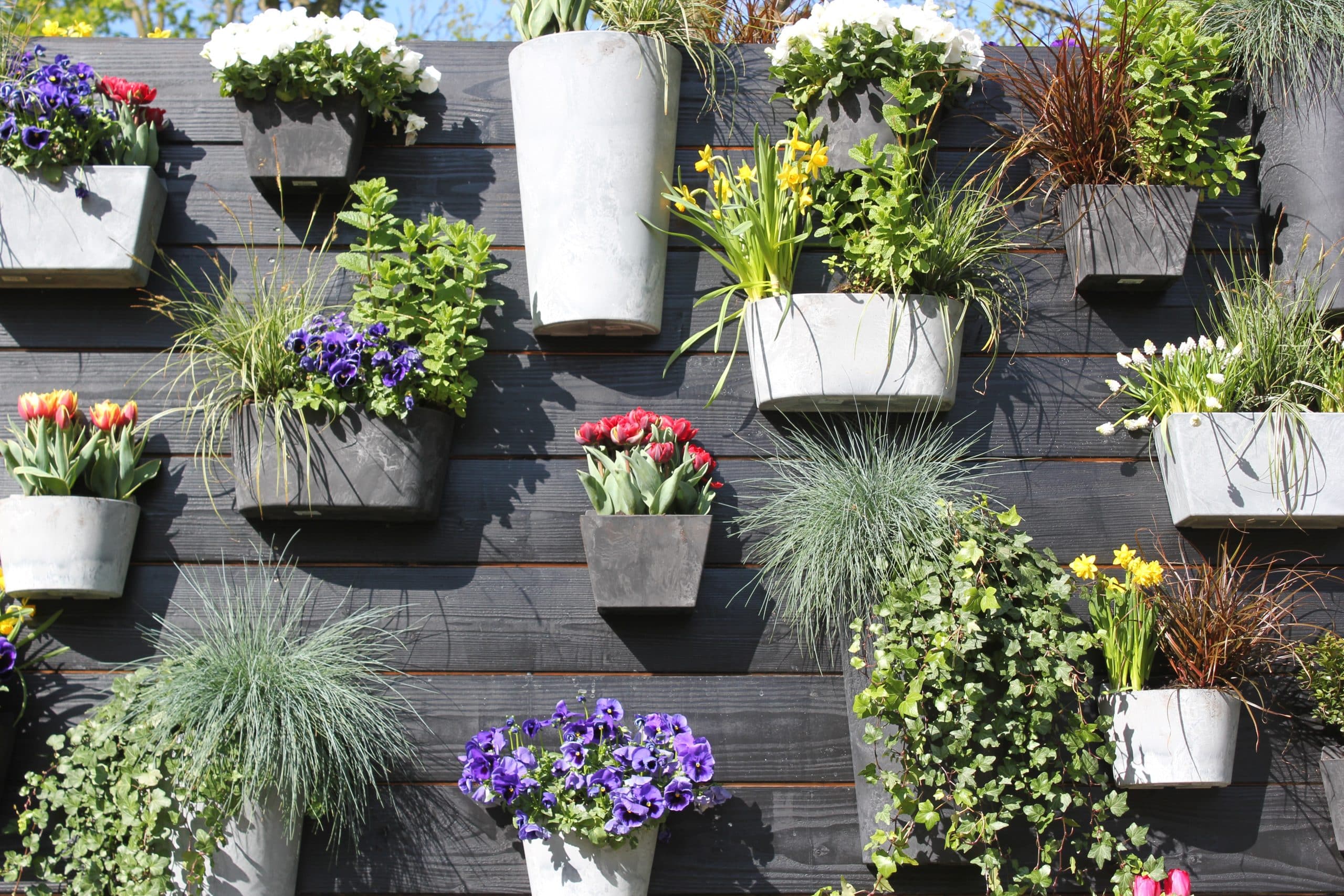 How to Arrange Garden Pots