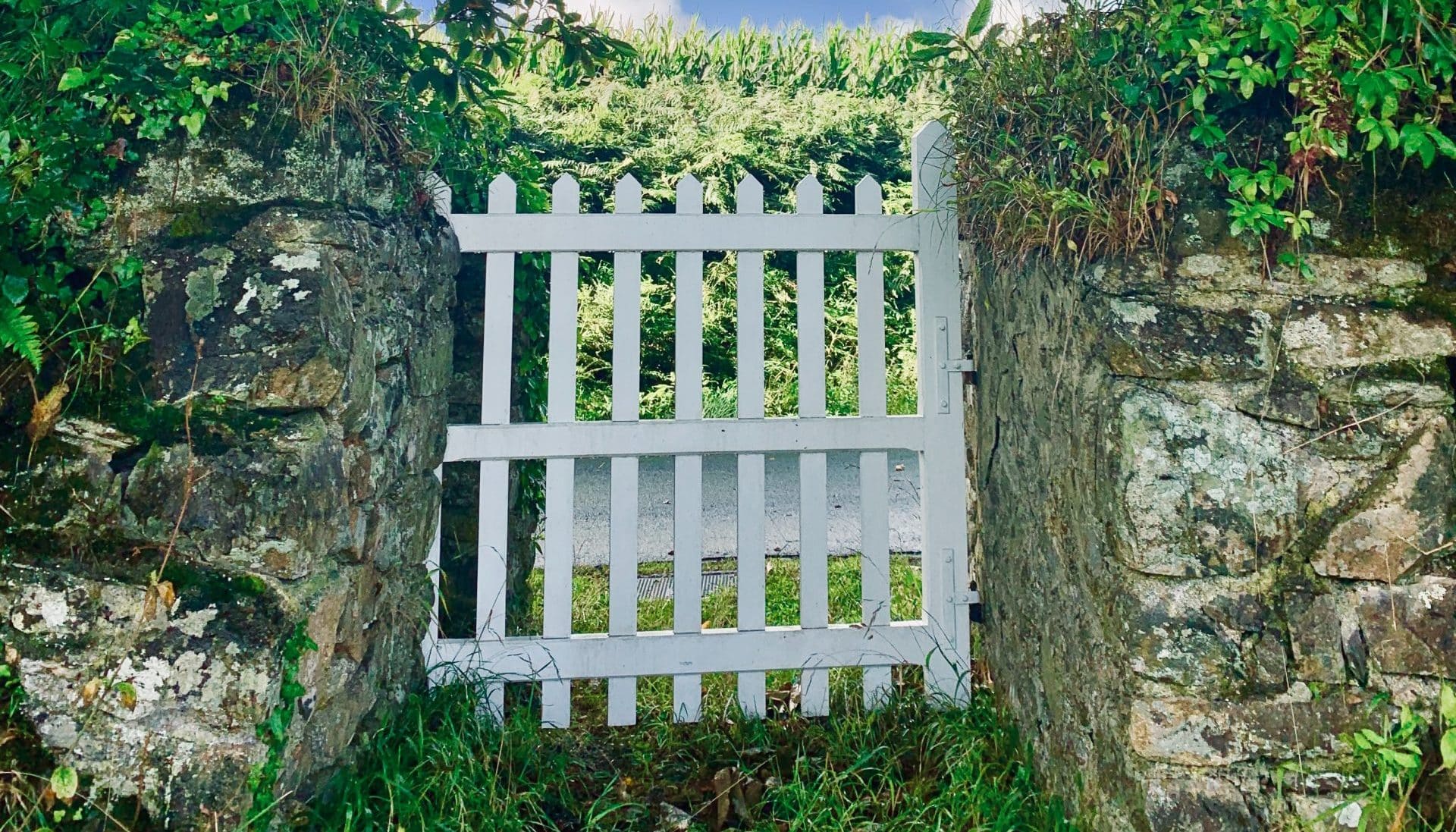 How to Build a Garden Gate