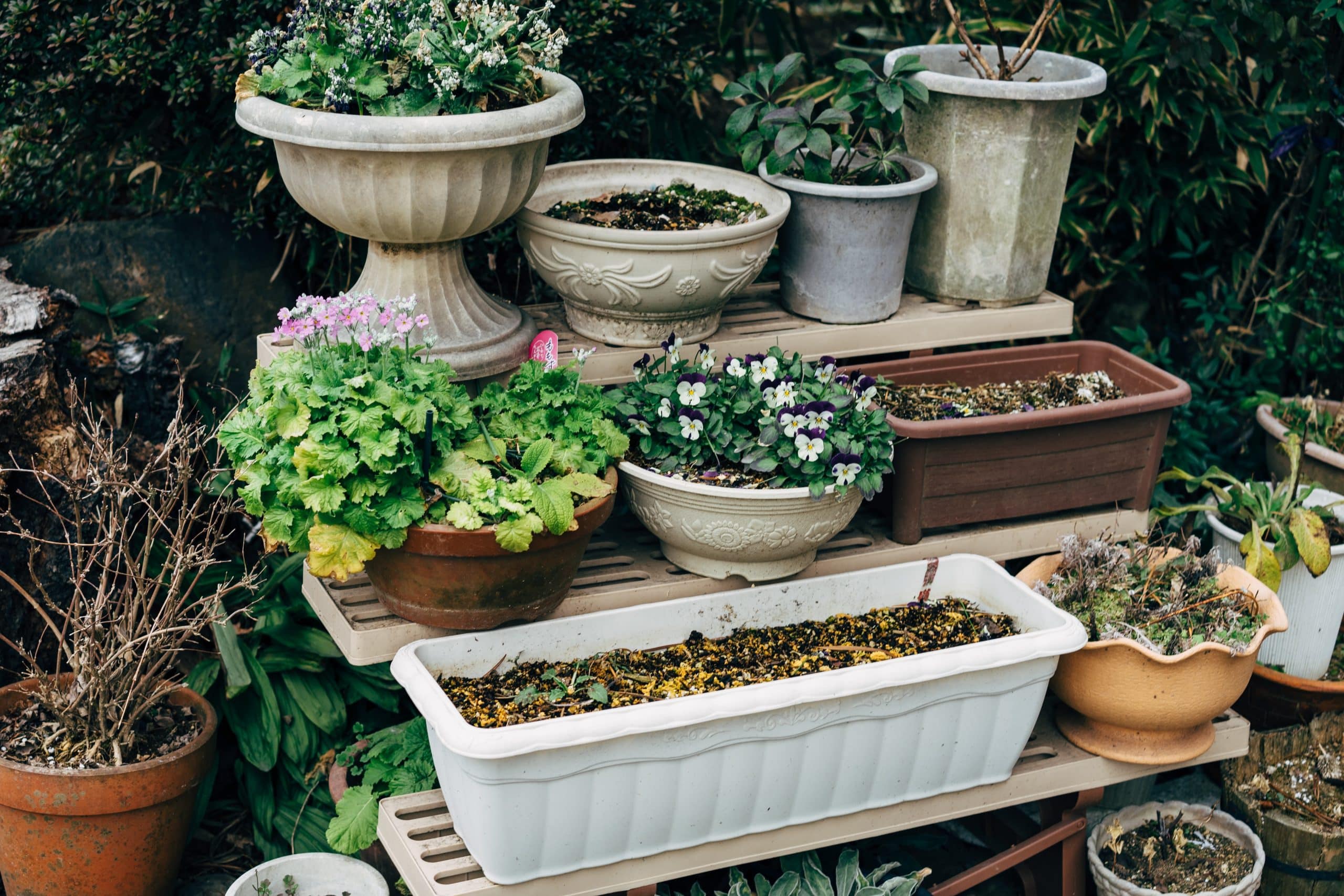 How to Arrange Garden Pots