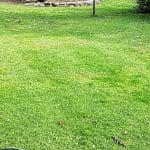 How to Remove Grass for a Garden - Featured Image