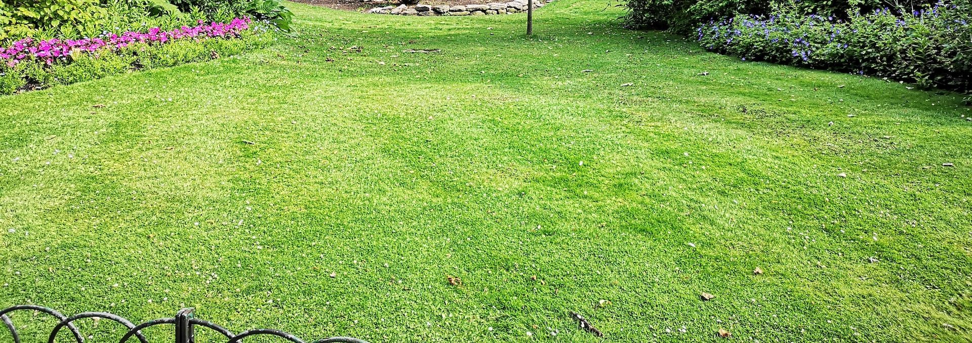 How to Remove Grass for a Garden - Featured Image