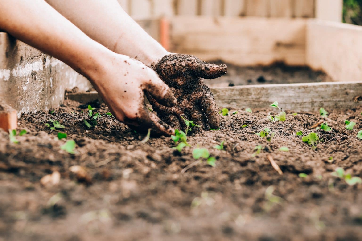 How to build a tiered garden on a slope