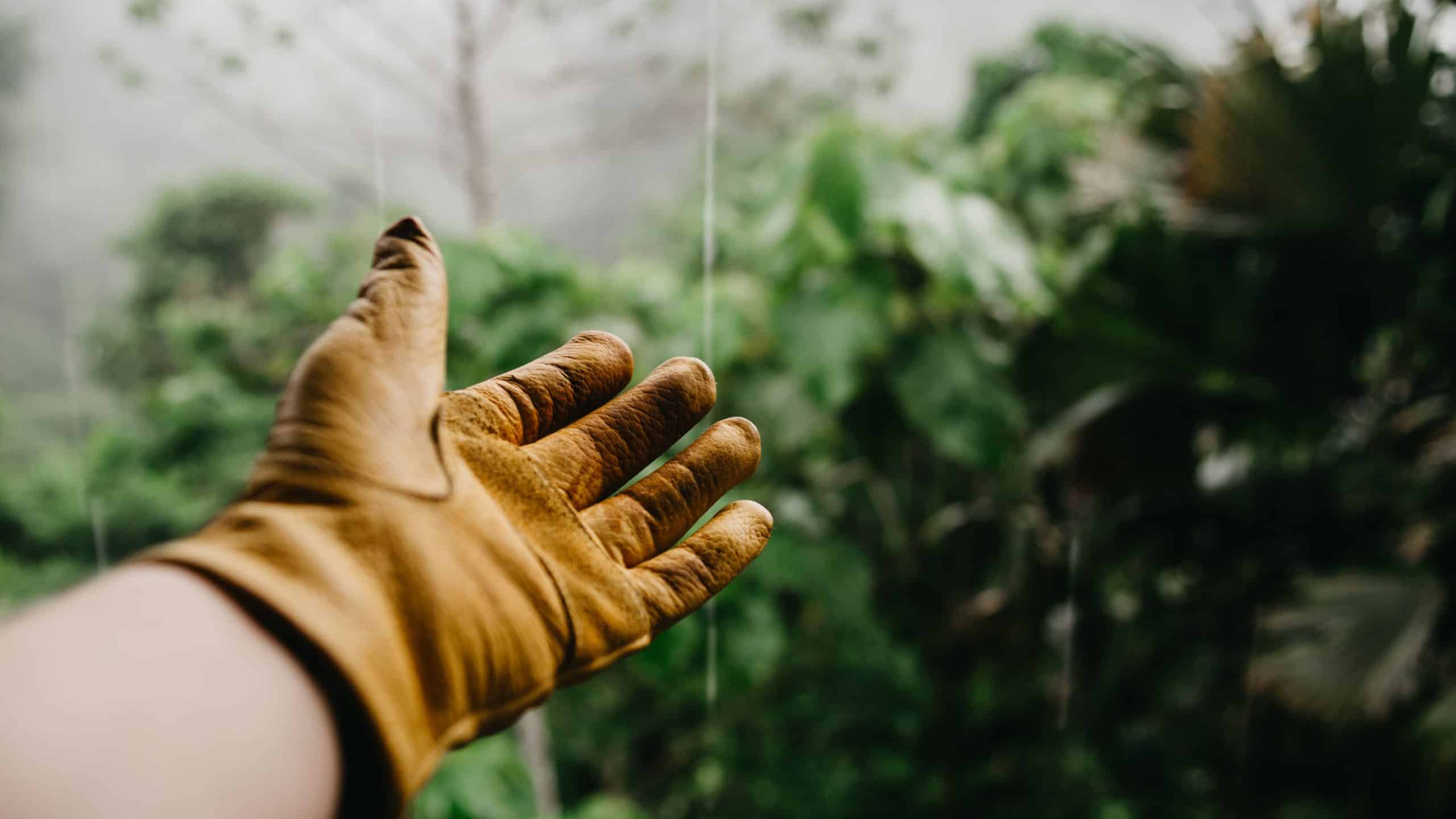 what to wear when gardening 3