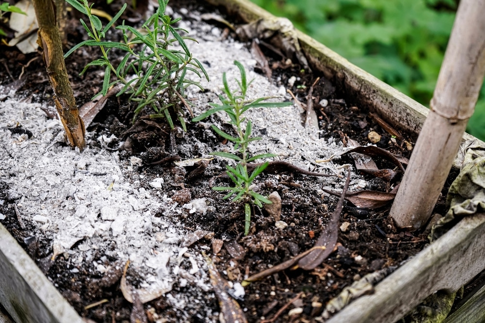 Are ashes good for a garden