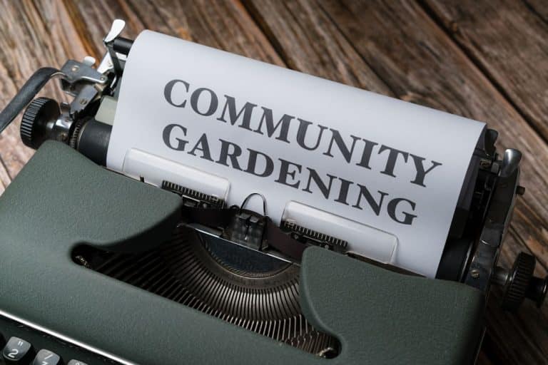 paper that reads community gardening